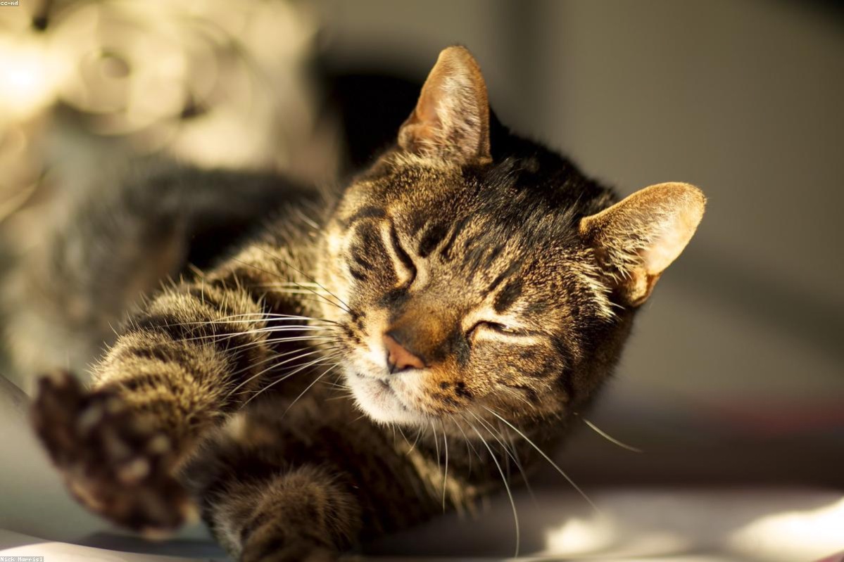 Ritual de estiramientos